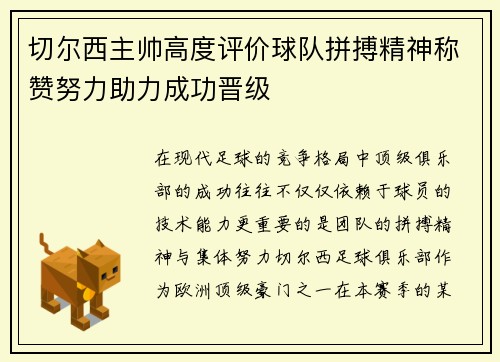 切尔西主帅高度评价球队拼搏精神称赞努力助力成功晋级