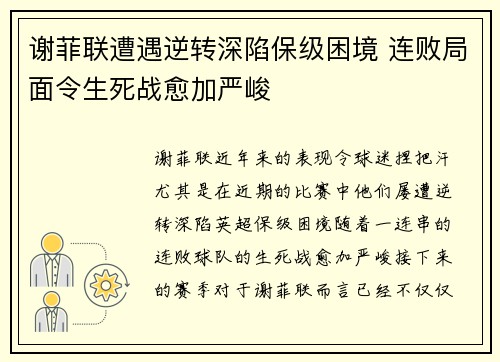 谢菲联遭遇逆转深陷保级困境 连败局面令生死战愈加严峻