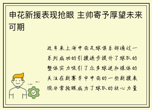 申花新援表现抢眼 主帅寄予厚望未来可期