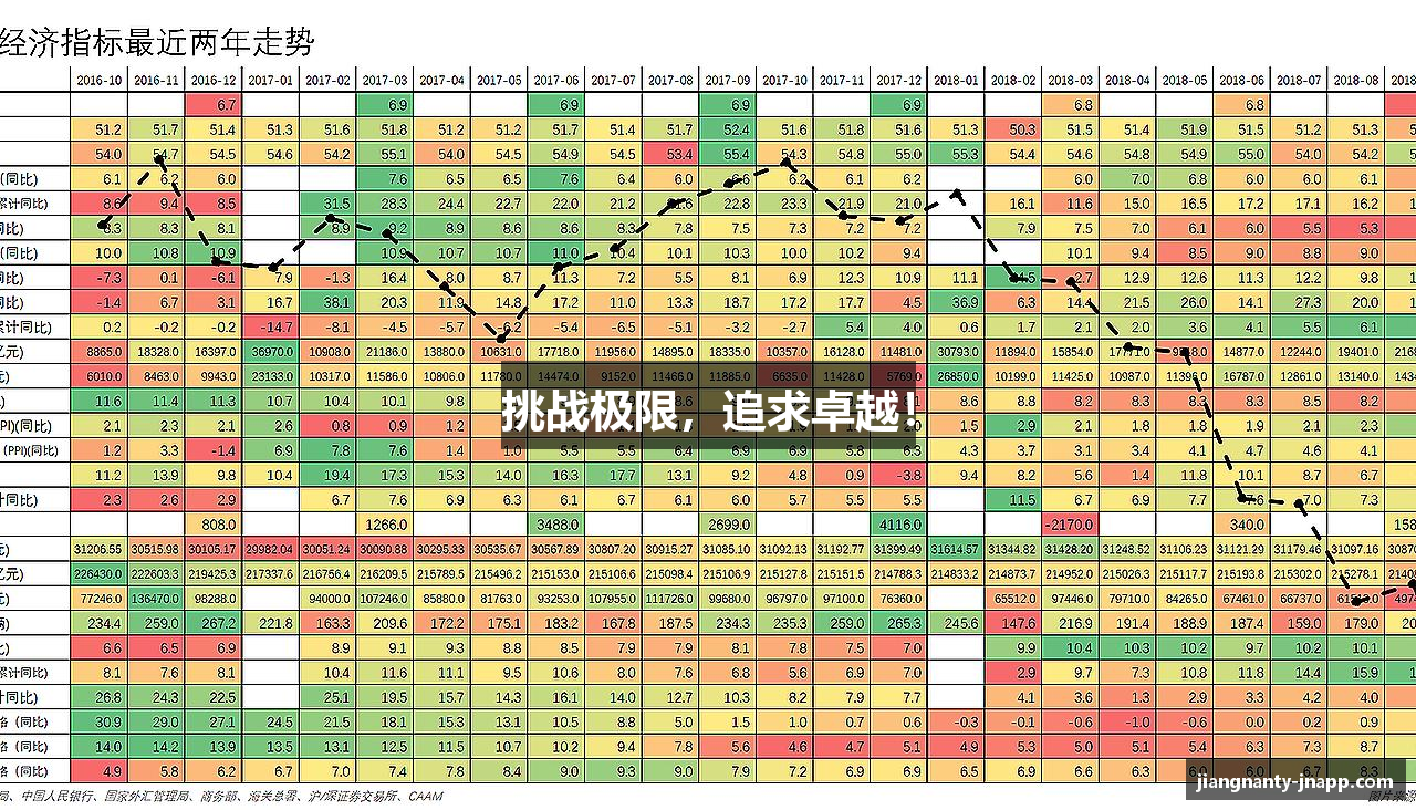 挑战极限，追求卓越！